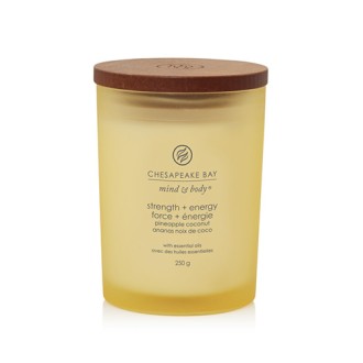 Chesapeake Bay Strength + Energy vonná svíčka 250 g