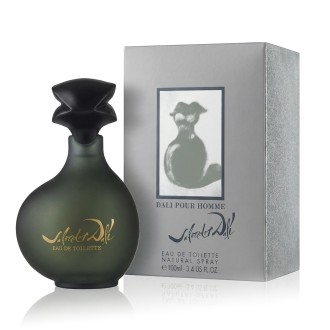 Salvador Dalí Pour Homme EDT 100 ml M
